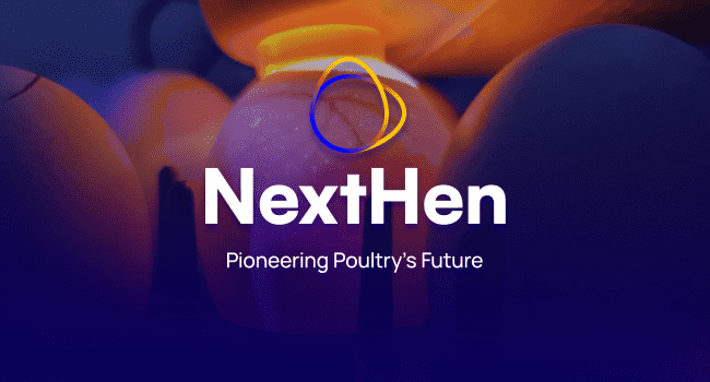 Nexthen NextHen - Pioneering Poultry's Future